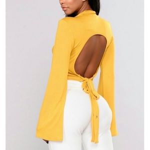 Fashion Nova backless Long Sleeve Crop Top